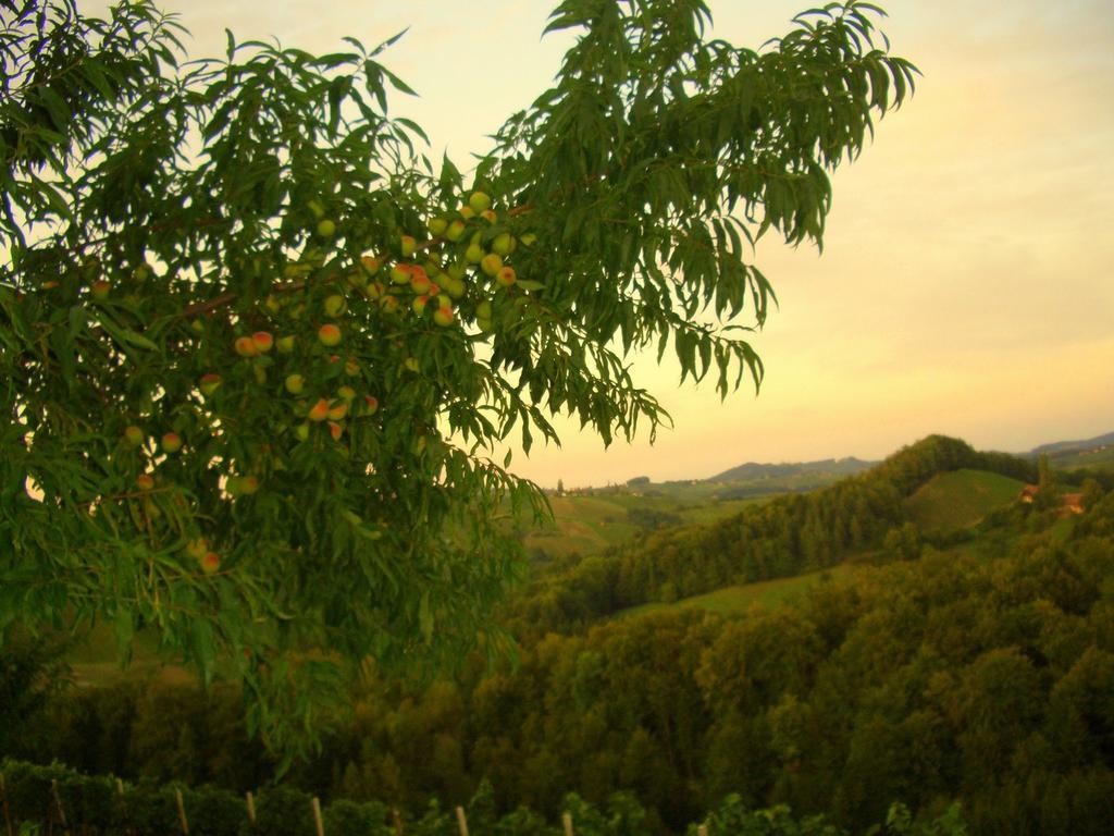 Weingut- Gaestezimmer Marko Лойчах Экстерьер фото