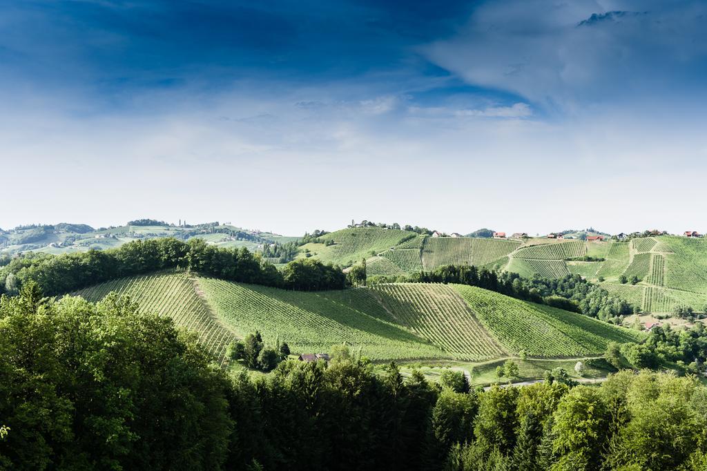 Weingut- Gaestezimmer Marko Лойчах Экстерьер фото
