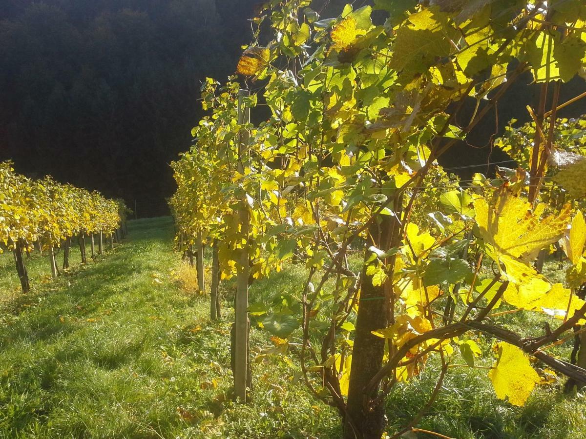 Weingut- Gaestezimmer Marko Лойчах Экстерьер фото
